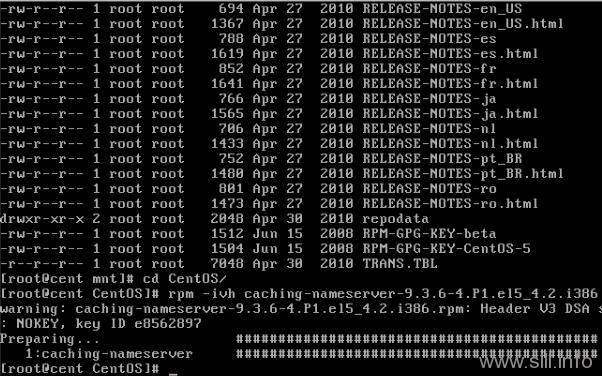 install CentOS/Linux域名服务器/DNS配置