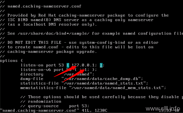 vi CentOS/Linux域名服务器/DNS配置