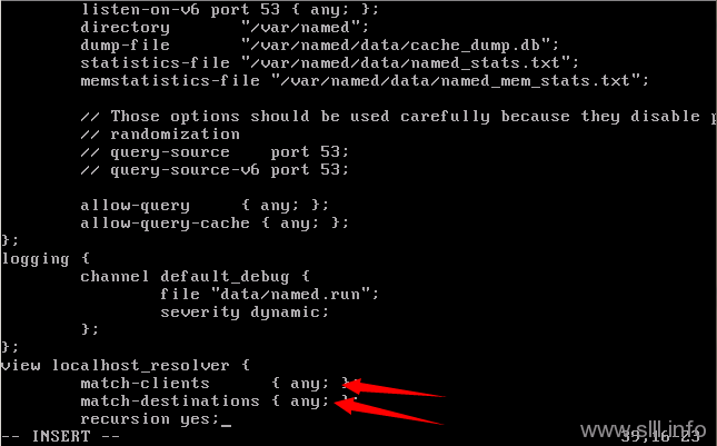 vi2 CentOS/Linux域名服务器/DNS配置
