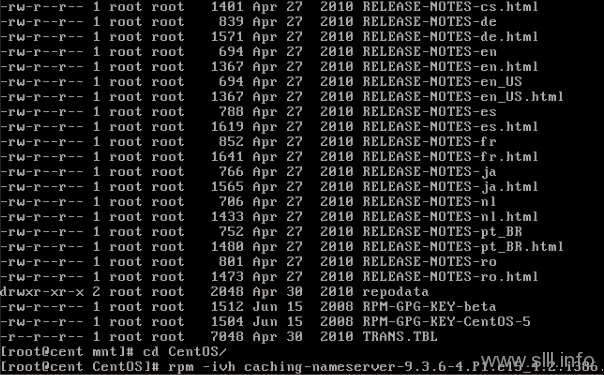 rpm CentOS/Linux域名服务器/DNS配置