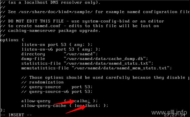 vi1 CentOS/Linux域名服务器/DNS配置