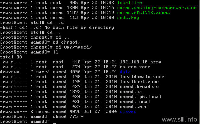 chmod11 CentOS/Linux域名服务器/DNS配置