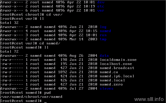 named CentOS/Linux域名服务器/DNS配置