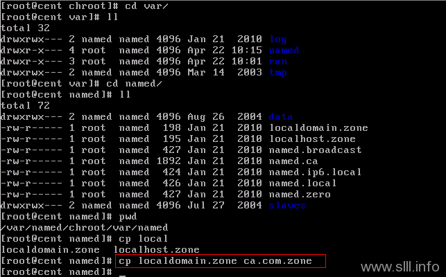 cp CentOS/Linux域名服务器/DNS配置