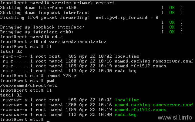 chmod1 CentOS/Linux域名服务器/DNS配置