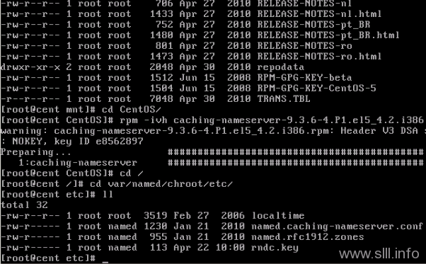 etc CentOS/Linux域名服务器/DNS配置